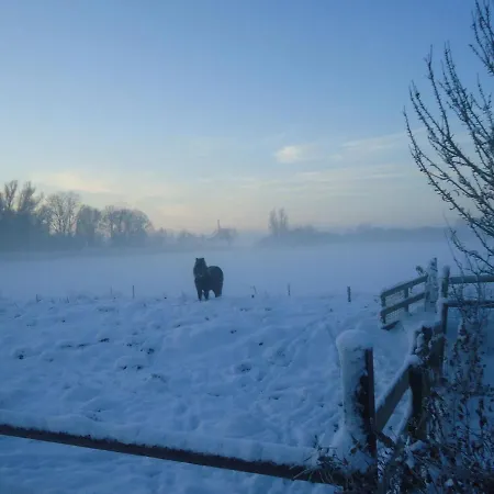Holiday home Cosy Overlooking The Meadows *