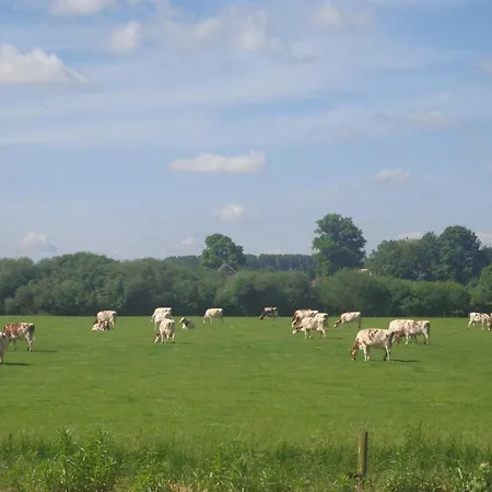 In With Meadow Views Nyaraló *