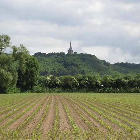 In With Meadow Views Spijk