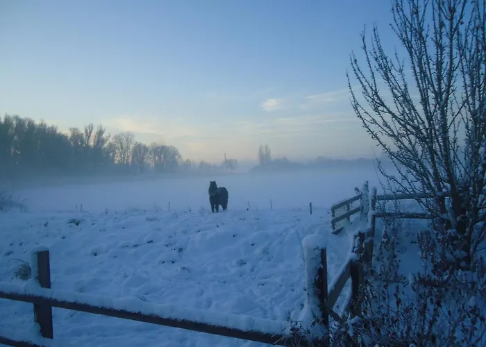 In With Meadow Views Tatil Evi *