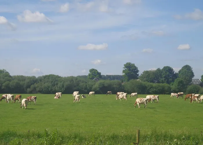 In With Meadow Views Tatil Evi *