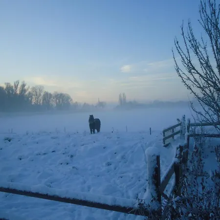 In With Meadow Views Holiday home *